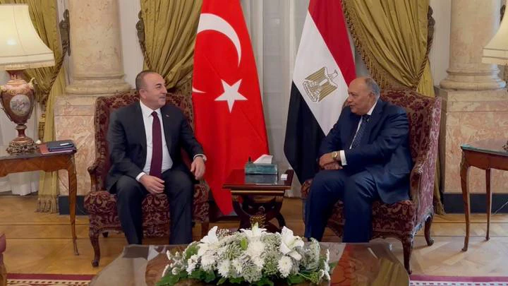 وزير الخارجية المصري يزور تركيا الخميس