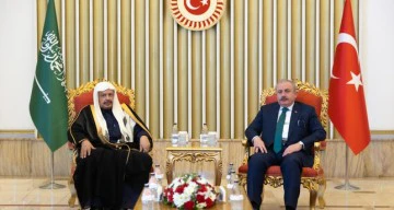 رئيس البرلمان التركي يشدد على أهمية التنسيق التركي السعودي للشرق الأوسط
