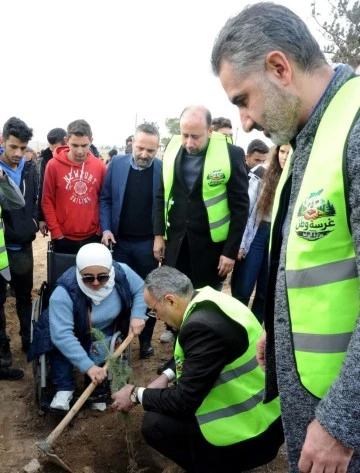 وزارة الزراعة أقامت حملة تشجير على طريق مطار دمشق