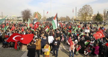 مظاهرة في غازي عنتاب التركية ضد الحرب الإسرائيلية على غزة