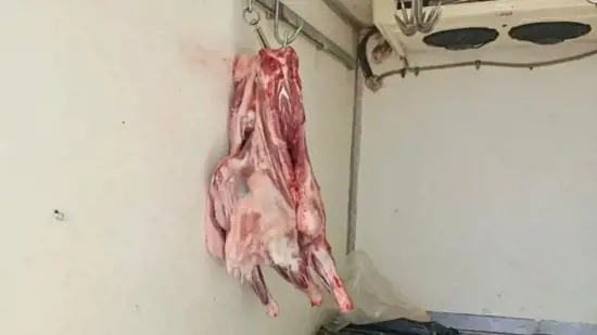 ضبط كميات كبيرة من اللحوم المنقولة في ظروف غير صحية في هاتاي