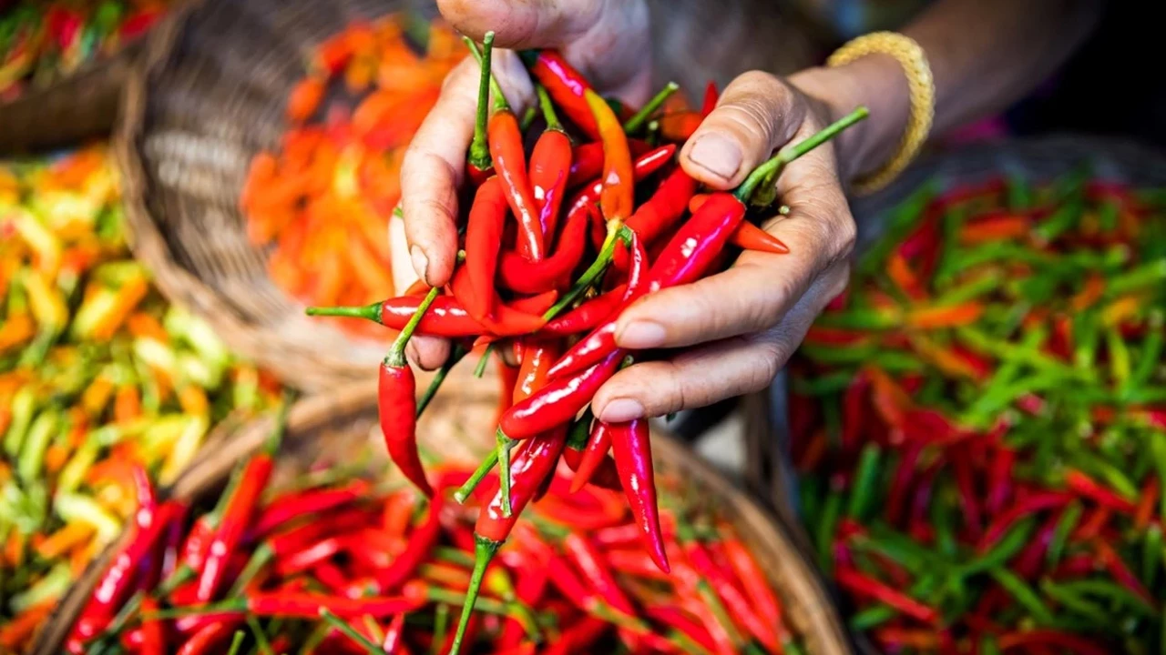 تحويل النفايات إلى ثروة بمليارات الليرات في غازي عنتاب