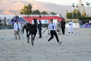 إنطلاق عرض صيف 2026لجمال الخيل العربية السورية الاصيله بدمشق